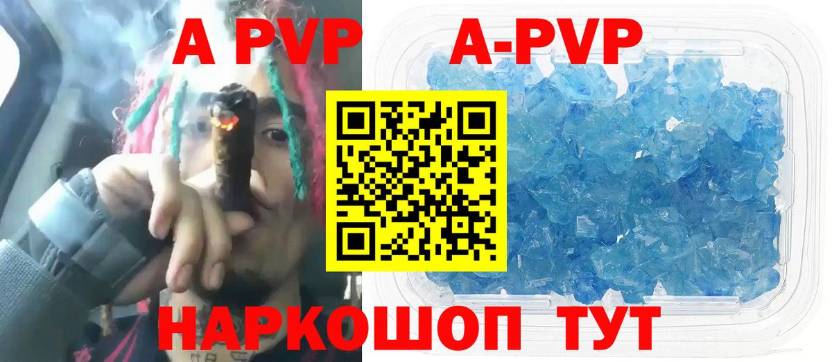 Alfa_PVP СК КРИС Гагарин