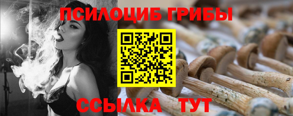 Псилоцибиновые грибы ЛСД  закладки  Гагарин  Вход с VPN 